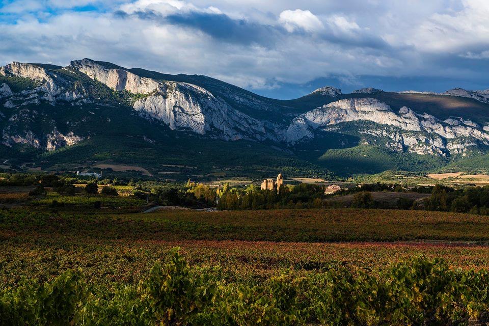 Viñedos de Leza con la Sierra de Cantabria al fondo