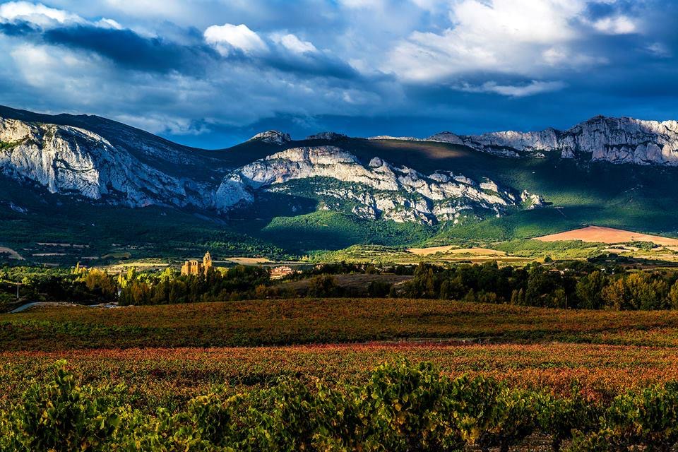 Viñedos en otoño bajo la Sierra de Cantabria